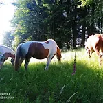 شقة U Becova Nad Teplou *