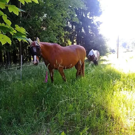 U Bečova Nad Teplou *