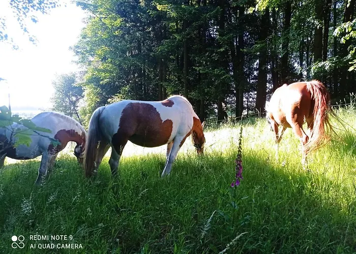 Apartmán U Bečova Nad Teplou *