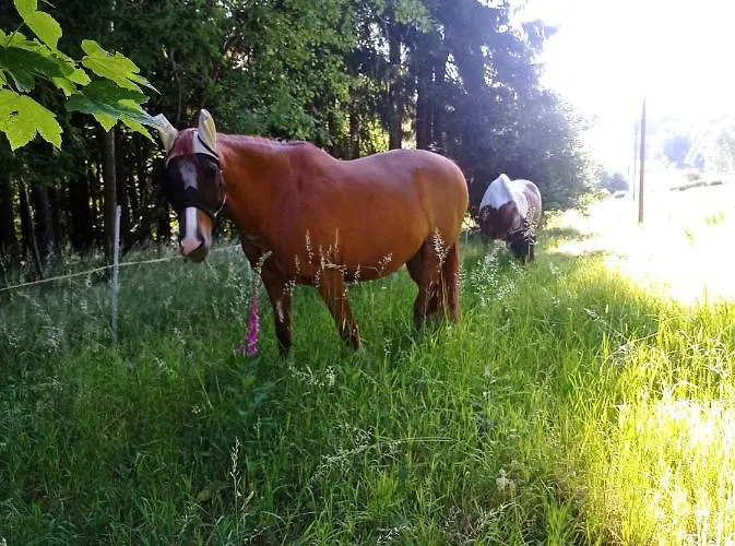 U Bečova Nad Teplou *
